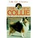 The New Collie