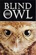 The Blind Owl