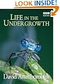 Life in the Undergrowth