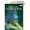 Life in the Undergrowth