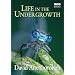 Life in the Undergrowth