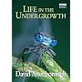 Life in the Undergrowth