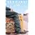 Bon Jovi - Live: This Left Feels Right [DVD] [2004]