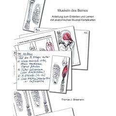 Muskeln des Beines: Anleitung zum Erstellen und Lernen mit anatomischen Muskel-Karteikarten