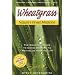 Wheatgrass Natures Finest Medicine