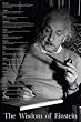 Albert Einstein (Words of Wisdom) Art Poster Print - 24" x 36"
