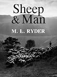 Sheep and Man
