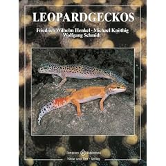 Leopardgeckos
