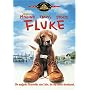 Fluke