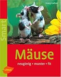 Maeuse: neugierig - munter - fit