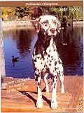 Dalmatian Champions, 1987-2002