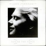 Youre The Voice [VINYL]