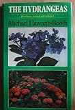 Hydrangeas