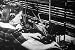 Classic Telegraph & Western Union Telegram Films DVD: 1940s Telegraphy Machine & Tele...