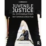 juvenile justice an introduction