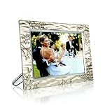 Philips 10.2-inch Digital Photo Frame with 9.4-Inch Viewable LCD Display (Metal)