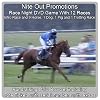 Host Your Own Race Night DVD Game For Fun/Fundraising Events