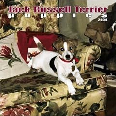 Jack Russell Terrier Puppies Mini Wall Calendar: 2004