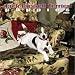 Book Jack Russell Terrier Puppies 2004 Calendar
