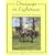 Dressage in Lightness: Speaking the Horse's Language