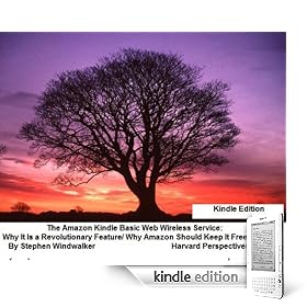 The Amazon Kindle Basic Web Wireless Service: Why It Is a Revolutionary Feature, and Why Amazon Should Keep It Free or Cheap