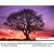 The Amazon Kindle Basic Web Wireless Service: Why It Is a Revolutionary Feature, and Why Amazon Should Keep It Free or Cheap