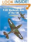 P-40 Warhawk Aces of the CBI (Osprey Aircraft of the Aces No 35)