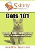 Cats 101: Everything you need to know about taking care of your feline friend (Skinny Report)