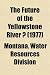 The Future of the Yellowstone River ? (1977)
