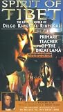 Spirit Of Tibet [VHS]