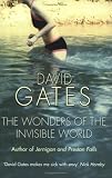 The Wonders of the Invisible World