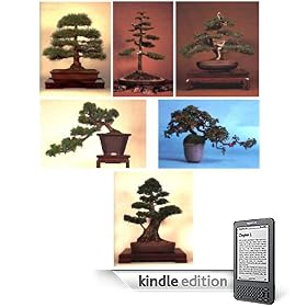 Growing Bonsai