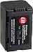 CTA DB-D220 camcorder battery - Li-Ion