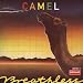 Camel-Breathless