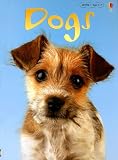 Books: Medium picture for Dogs Usborne Beginners. Information for Young Readers. Level 1