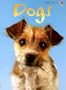 Dogs (Usborne Beginners: Information for Young Readers: Level 1)