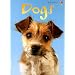Dogs (Usborne Beginners: Information for Young Readers: Level 1)