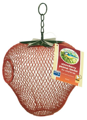 Gardman Strwbry Sunflwr & Pnut Feeder