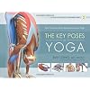 Key Poses of Yoga: Your Guide to Functional Anatomy in Yoga: 2 (Scientific Keys)