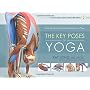 Key Poses of Yoga: Your Guide to Functional Anatomy in Yoga: 2 (Scientific Keys)