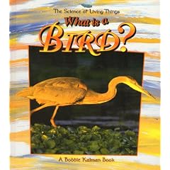 What Is a Bird?
