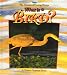 Book What Is a Bird? (The Science of Living Things)