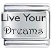 Live Your Dreams Italian Charms Bracelet Link