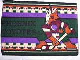 Phoenix Coyotes NHL Door Mat/Rug 19in by 29in