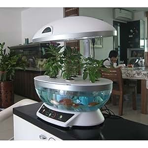 Amazon.com: Tabletop Hydroponics Fish Tank Planter Aquaponics System 