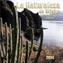 LA Naturaleza De Mexico/the Natural Landscapes of Mexico 2004 Calendar (Spanish Edition)