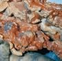 Rot Crumble Collapse