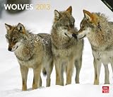 Wolves 2013 Deluxe Wall (Multilingual Edition)