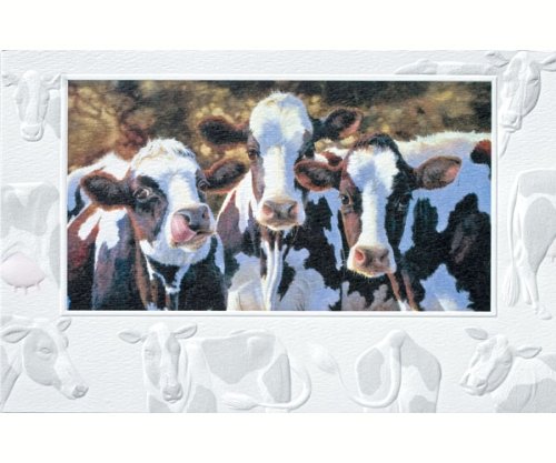 Dairy Queens Bday Cards On Sale