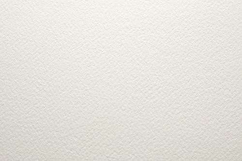 Arches Aquarelle Watercolour Paper 300gsm (140lbs) - NOT - 1/4 imperial (11x15"/28x38cm) - Loose sheet packs of 80